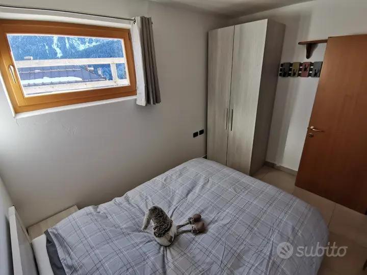 פולגרידה Spazioso Trilocale Sulle Piste Da Sci מראה חיצוני תמונה